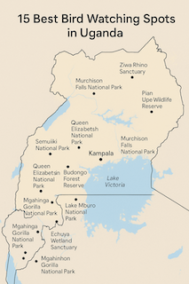 Map of Uganda highlighting the 15 best bird watching spots including Mabamba Bay, Bwindi, Murchison Falls, Queen Elizabeth, and other key birding locations.