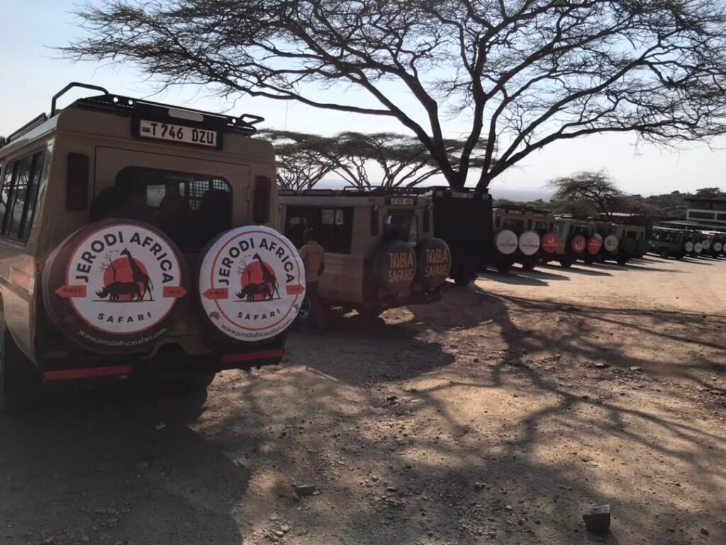 Uganda vs Kenya safari wildlife experience