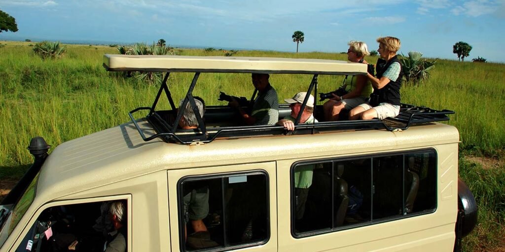 Game Drives in Uganda's N.P