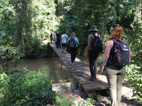 Nature Walks in Uganda's national parks