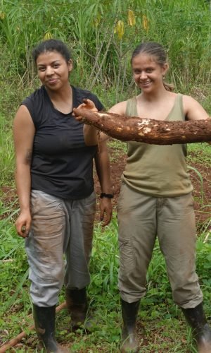 Village Excursions Cassava Harvest