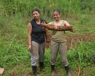 Village Excursions Village Excursions Cassava Harvest