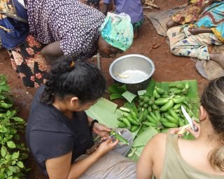 learn how to Peal Matooke the Local way learn how to Peal Matooke the Local way