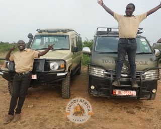 Jerodi Africa Safari (3) Jerodi Africa Safari (3)
