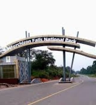 MFNP-GATE MFNP-GATE