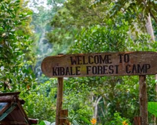 Welcome-to-Kibale-Forest-Camp Welcome-to-Kibale-Forest-Camp