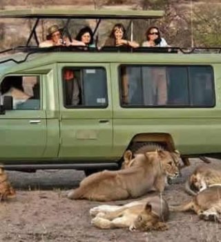 game-drive-queen game-drive-queen
