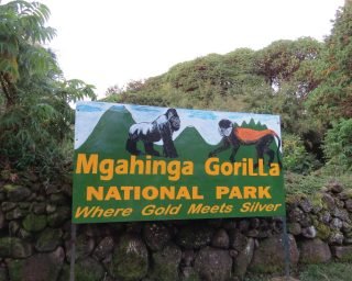 mgahinga mgahinga