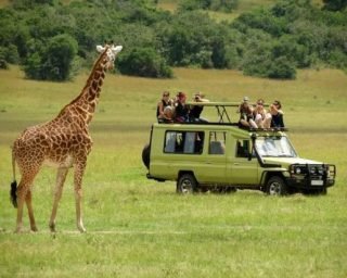 safari-at-queen-elizabeth-1 safari-at-queen-elizabeth-1